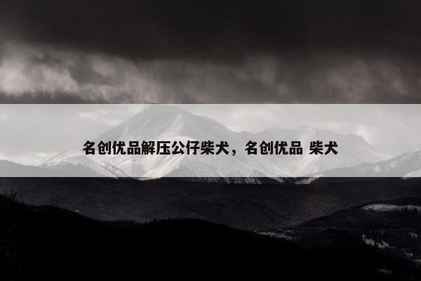 名创优品解压公仔柴犬，名创优品 柴犬