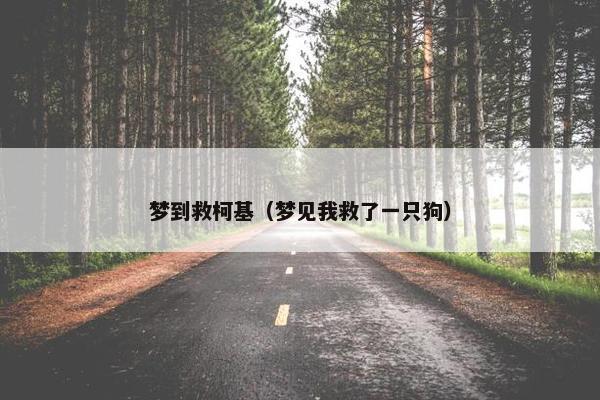 梦到救柯基（梦见我救了一只狗）