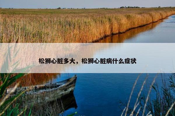 松狮心脏多大，松狮心脏病什么症状
