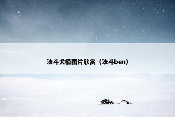 法斗犬桶图片欣赏（法斗ben）