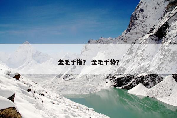 金毛手指？ 金毛手势？