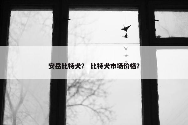 安岳比特犬？ 比特犬市场价格？