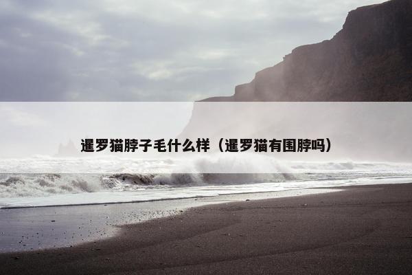 暹罗猫脖子毛什么样（暹罗猫有围脖吗）
