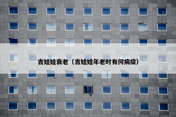 吉娃娃衰老（吉娃娃年老时有何病症）
