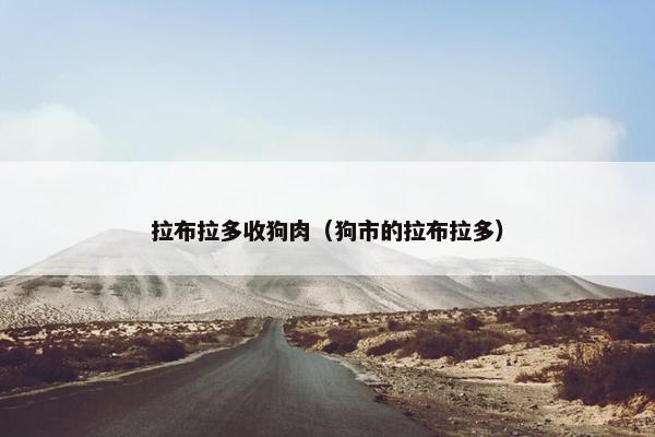 拉布拉多收狗肉（狗市的拉布拉多）