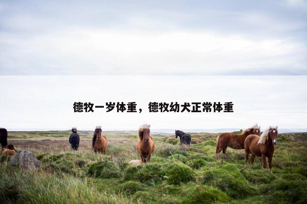 德牧一岁体重，德牧幼犬正常体重