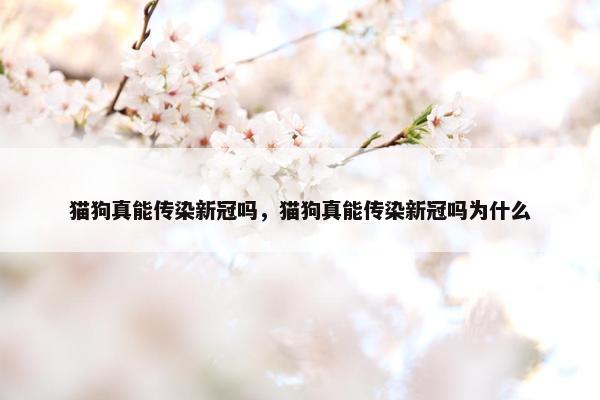 猫狗真能传染新冠吗，猫狗真能传染新冠吗为什么