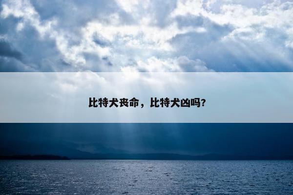 比特犬丧命，比特犬凶吗?