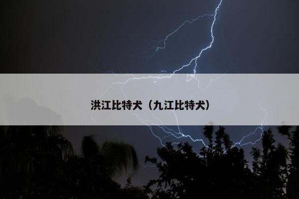 洪江比特犬（九江比特犬）
