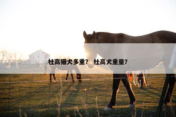 杜高猎犬多重？ 杜高犬重量？