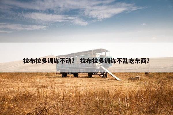 拉布拉多训练不动？ 拉布拉多训练不乱吃东西？