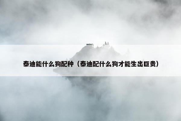 泰迪能什么狗配种（泰迪配什么狗才能生出巨贵）