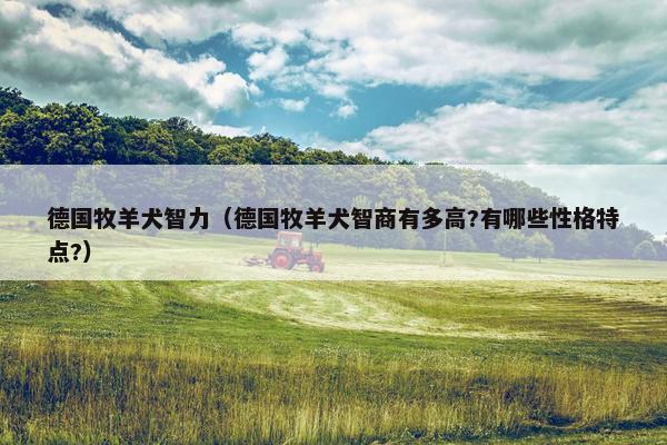 德国牧羊犬智力（德国牧羊犬智商有多高?有哪些性格特点?）