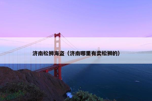 济南松狮海盗（济南哪里有卖松狮的）