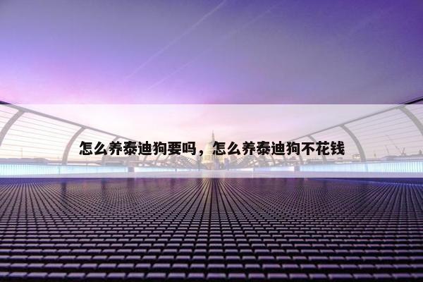 怎么养泰迪狗要吗，怎么养泰迪狗不花钱