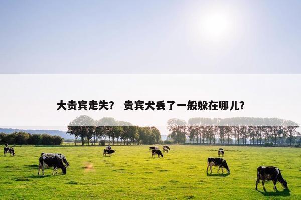 大贵宾走失？ 贵宾犬丢了一般躲在哪儿？