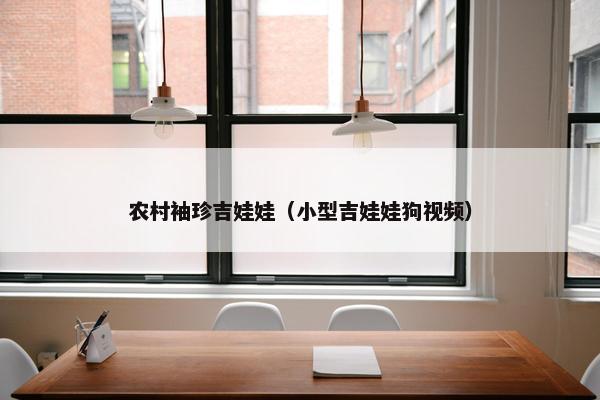 农村袖珍吉娃娃（小型吉娃娃狗视频）