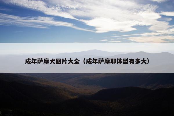 成年萨摩犬图片大全（成年萨摩耶体型有多大）