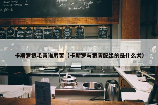 卡斯罗狼毛青谁厉害（卡斯罗与狼青配出的是什么犬）