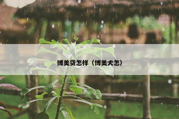 博美贷怎样（博美犬怎）