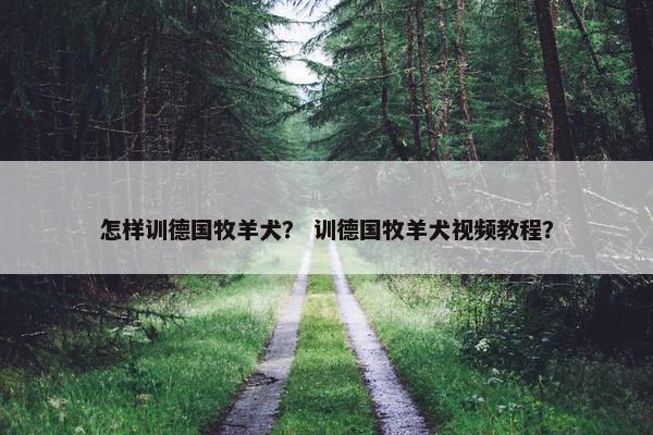 怎样训德国牧羊犬？ 训德国牧羊犬视频教程？