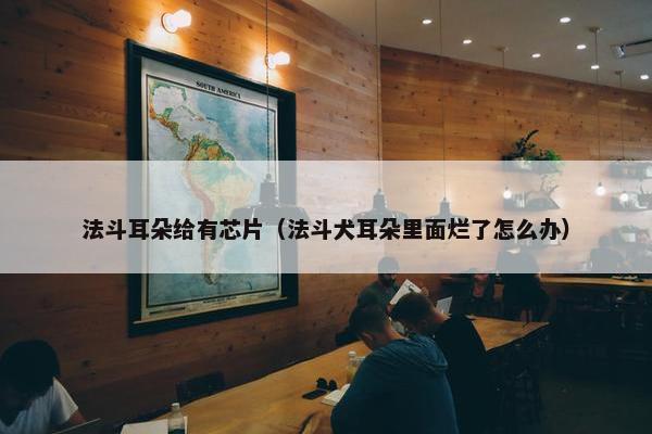 法斗耳朵给有芯片（法斗犬耳朵里面烂了怎么办）