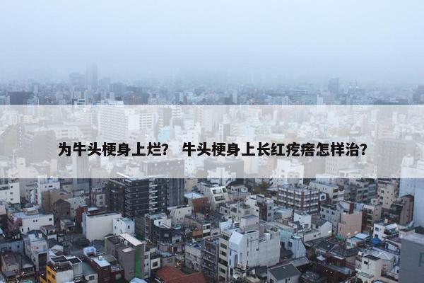 为牛头梗身上烂？ 牛头梗身上长红疙瘩怎样治？