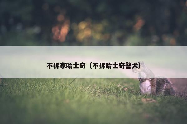 不拆家哈士奇（不拆哈士奇警犬）