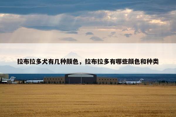 拉布拉多犬有几种颜色，拉布拉多有哪些颜色和种类