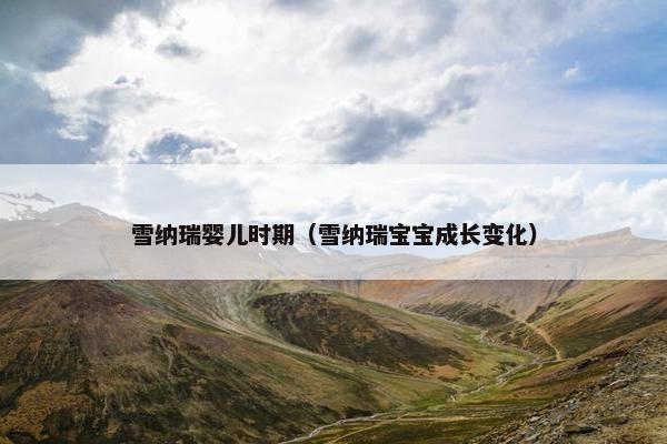 雪纳瑞婴儿时期（雪纳瑞宝宝成长变化）