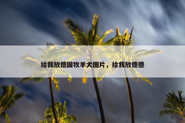 给我放德国牧羊犬图片，给我放德德