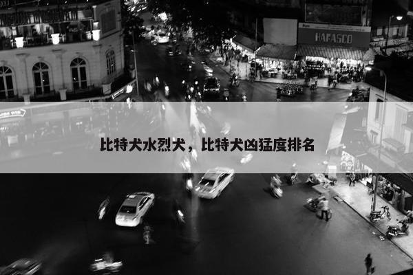 比特犬水烈犬，比特犬凶猛度排名