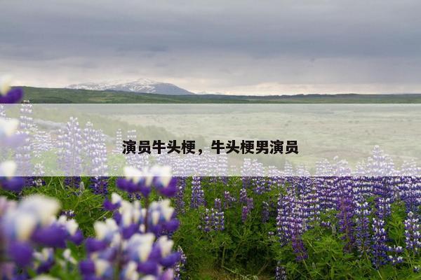 演员牛头梗，牛头梗男演员