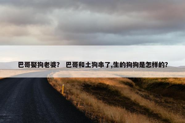 巴哥娶狗老婆？ 巴哥和土狗串了,生的狗狗是怎样的？