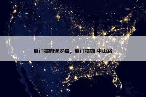 厦门猫咖暹罗猫，厦门猫咖 中山路