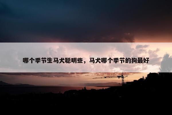 哪个季节生马犬聪明些，马犬哪个季节的狗最好