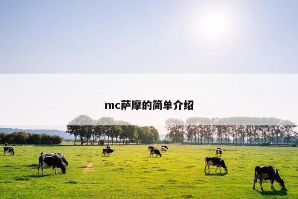 mc萨摩的简单介绍