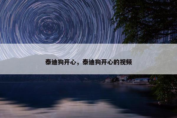 泰迪狗开心，泰迪狗开心的视频