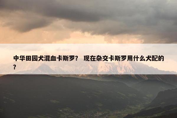 中华田园犬混血卡斯罗？ 现在杂交卡斯罗用什么犬配的？