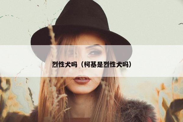 烈性犬吗（柯基是烈性犬吗）