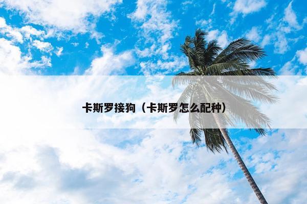 卡斯罗接狗（卡斯罗怎么配种）