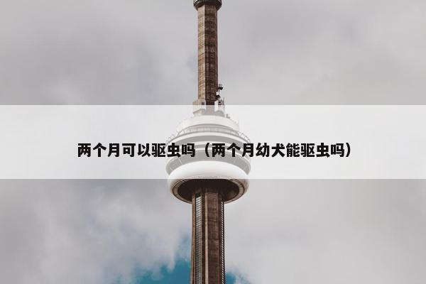 两个月可以驱虫吗（两个月幼犬能驱虫吗）