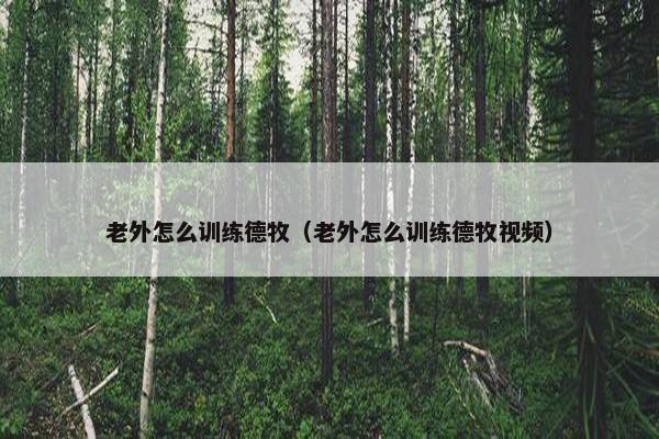 老外怎么训练德牧（老外怎么训练德牧视频）