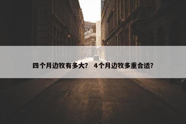 四个月边牧有多大？ 4个月边牧多重合适？