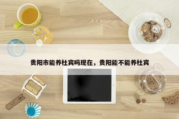 贵阳市能养杜宾吗现在，贵阳能不能养杜宾