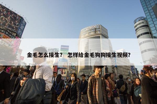 金毛怎么接生？ 怎样给金毛狗狗接生视频？