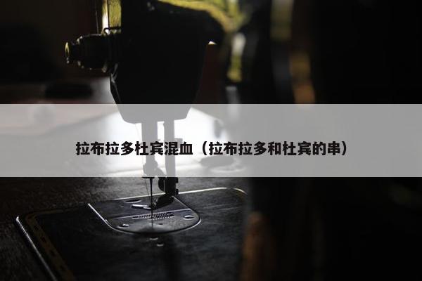 拉布拉多杜宾混血（拉布拉多和杜宾的串）