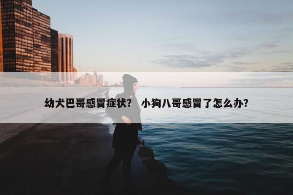 幼犬巴哥感冒症状？ 小狗八哥感冒了怎么办？