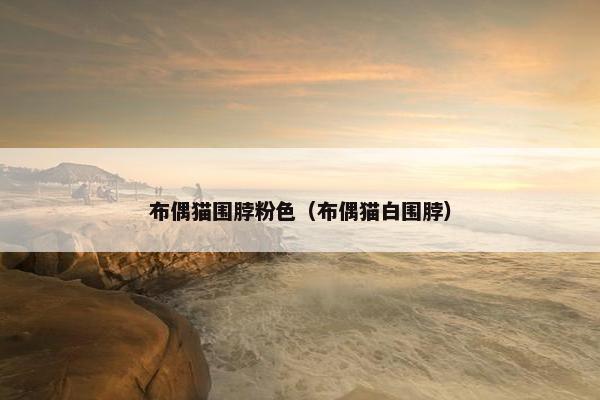 布偶猫围脖粉色（布偶猫白围脖）