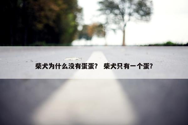 柴犬为什么没有蛋蛋？ 柴犬只有一个蛋？